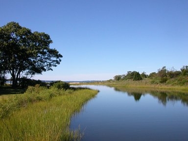 Sag Harbor