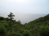 StreetEasy: Waterfront Condo - House Sale in Calverton/Baiting Hollow, North Fork