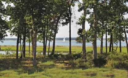 PRIVATE HAMPTONS OASIS