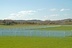 Two Trees Farm Including 17 Lot Subdivision