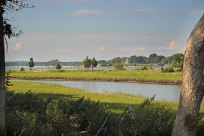 PRIVATE HAMPTONS OASIS