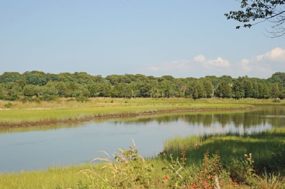 PRIVATE HAMPTONS OASIS