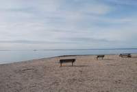 StreetEasy: 2 Hog Creek Road  - Land Apartment Sale in East Hampton Springs, Hamptons