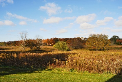 36 Briar Patch Rd