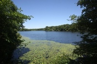StreetEasy: 57 Big Fresh Pond Road  - House Sale in North Sea, Hamptons