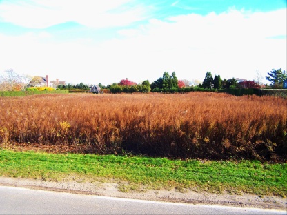 Bridgehampton