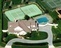 5 Bedroom