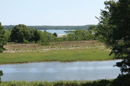 PRIVATE HAMPTONS OASIS
