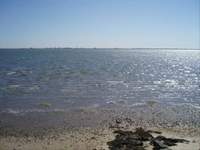 StreetEasy: 6 Last Lane  - House Sale in Hampton Bays, Hamptons
