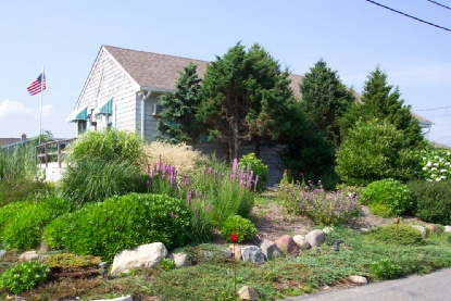 Cottage By the Sea