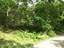 Westhampton 