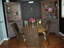 227 Christopher Columbus Drive
