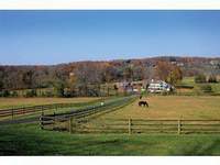 5 Bedroom House - House Sale in Chester, Morris County - StreetEasy Northern New Jersey