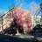 146 Mercer Avenue