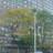 135 Montgomery Street