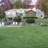 54 Old Lakeside Rd 