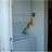 2858261